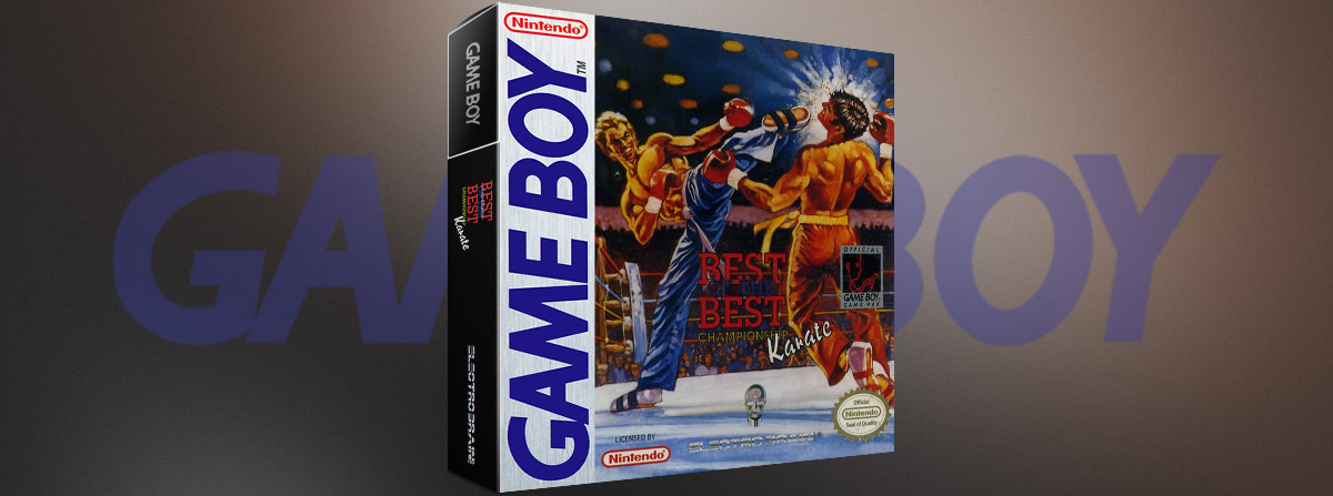 Best of the Best: Karate Championship Game Boy
